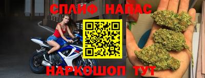 дживик Нальчик