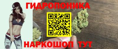 шишки Наро-Фоминск
