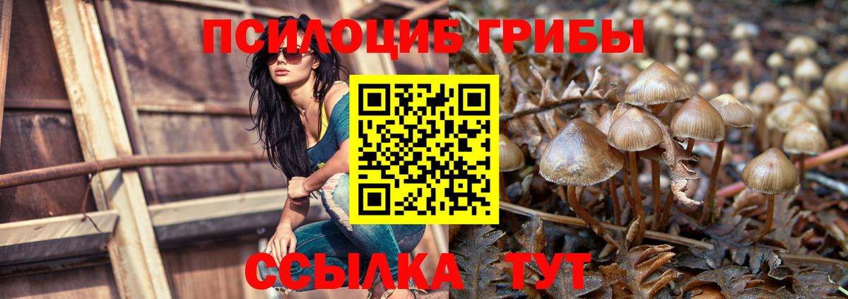 Псилоцибиновые грибы Magic Shrooms  Псилоцибиновые грибы Psilocybine cubensis  Якутск  Вход с VPN 